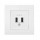 USB krovimo lizdas 2A