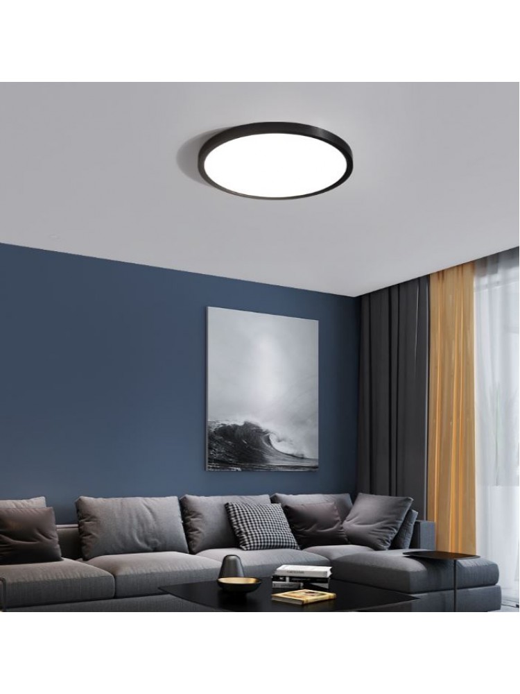 24W SLIM LED paviršinis šviestuvas, montuojamas prie lubų, apvalus, 3000K, 30cm  