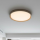 LED lubų šviestuvas, 36W, baltas/pilkai rudas, CCT šviesa