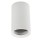 VIRŠTINKINIS LED ŠVIESTUVAS  GU10 60x100 mm - BALTAS